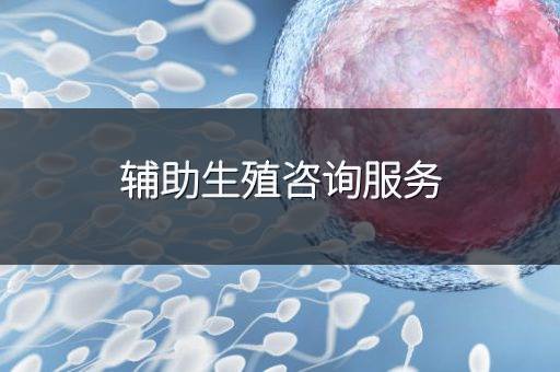 辅助生殖咨询服务