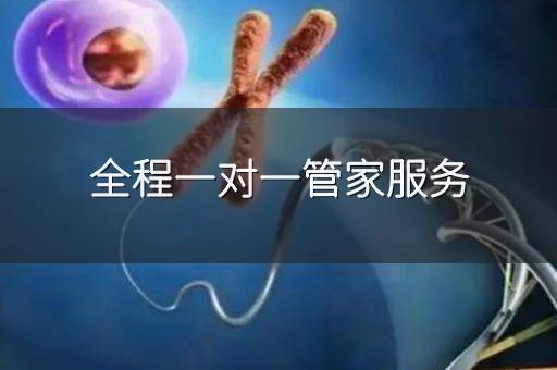 全程一对一管家服务