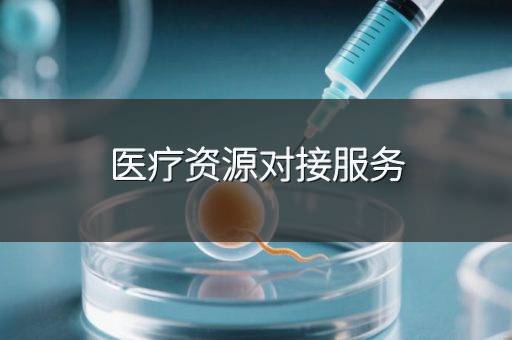 医疗资源对接服务