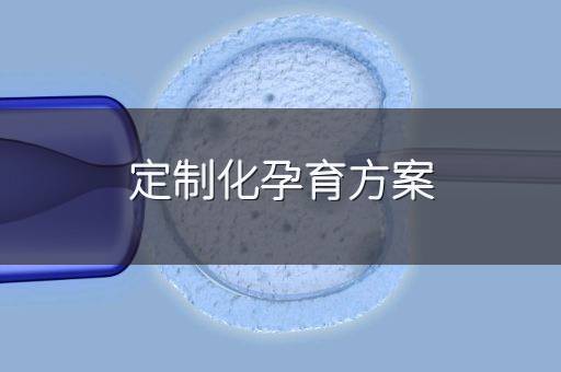 定制化孕育方案